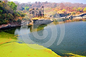 Badal Mahal or Palace of the Clouds, Ranthambore National Park. Ancient ruins, calm lake, nature landscape