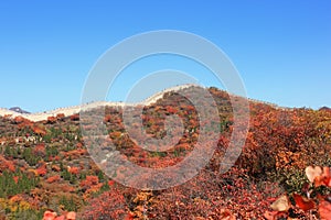 Badaling national forest park