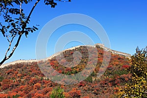 Badaling national forest park