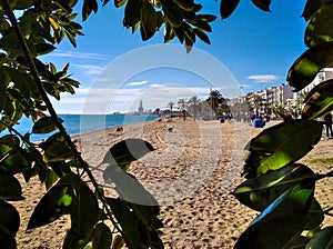 Badalona beach seen between bushes with power plant towers in the background