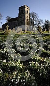 Baddesley Clinton estate