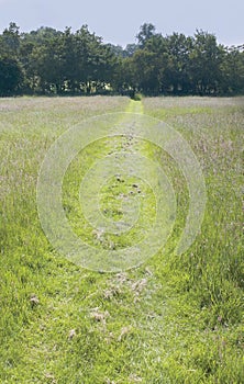 Baddesley Clinton estate