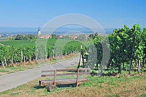 Baden Wine Route,Markgraeflerland,Black Forest photo