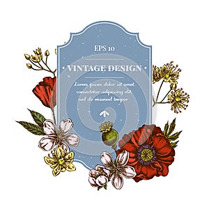 Badge design with colored almond, poppy flower, tilia cordata