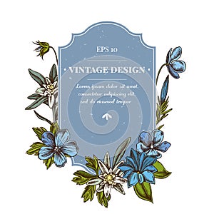 Badge design with colored edelweiss, meadow geranium, gentiana