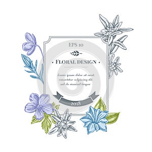 Badge design with pastel edelweiss, meadow geranium, gentiana
