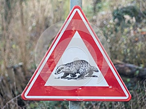 badger crossing warning sign on the side of a rural country road