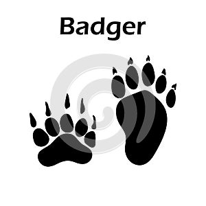 Badger Footprint