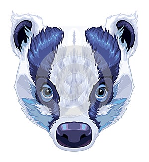 Badger frontal view, vector isolated animal