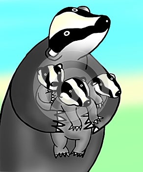 Badger illustration