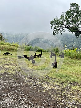 Badgers in the middle of a trip.