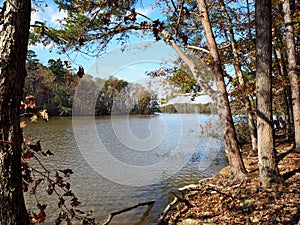 Badin Lake in Uwharrie National Forest