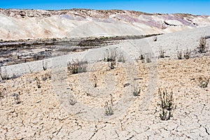 Scenic badlands along state route 24 in Utah, USA