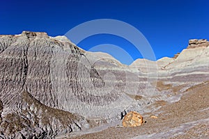 Badlands landscape with tree trunks in Petrified Forest National Park, USA