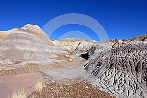 Badlands landscape with tree trunks in Petrified Forest National Park, USA