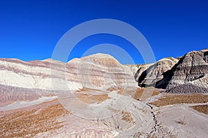 Badlands landscape with tree trunks in Petrified Forest National Park, USA