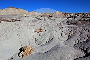 Badlands landscape with tree trunks in Petrified Forest National Park, USA