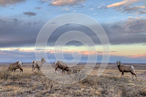 Badlands National Park, South Dakota