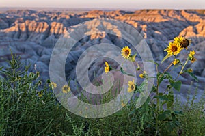 Badlands South Dakota at Sunrise