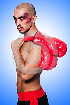 Badly beaten boxer isolated
