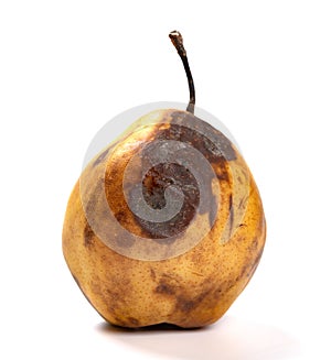 Badly overripe pear on white background