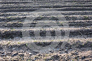 Badly plowed arable land