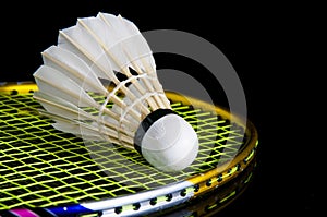 Badminton and battledore