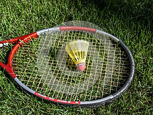 Badminton birdie in the green grass