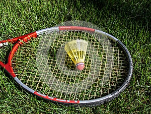 Badminton birdie in the green grass photo