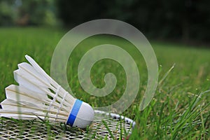 Badminton Birdie Shuttlecock Racket On Green Grass