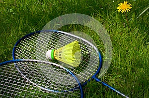 Badminton equipment in green grass