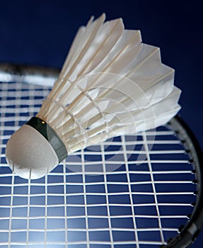 Badminton racket and shuttlecock