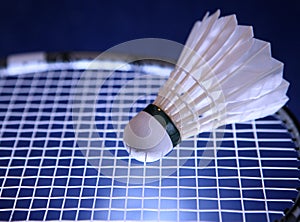 Badminton racket and shuttlecock