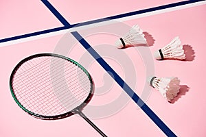 Badminton racket and shuttlecocks