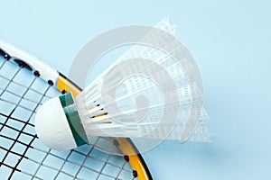 Badminton shuttlecock
