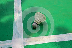 Badminton shuttlecock is on green field with white stripe