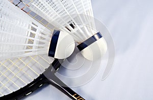 Badminton shuttlecock and racket