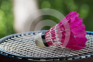 Badminton shuttlecock on a racket