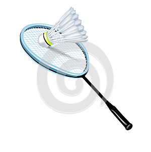 Badminton shuttlecock and racket