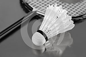 Badminton shuttlecock and racket