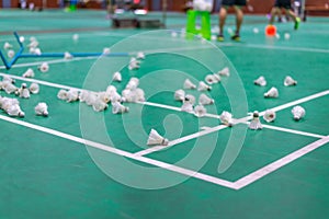 badminton shuttlecock with white line on green court