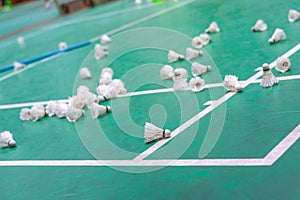 badminton shuttlecock with white line on green court