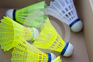 Badminton shuttlecocks in box