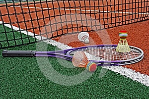 Badminton shuttlecocks & Racket-1