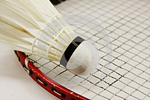 Badminton