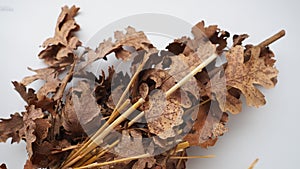 The badnjak veseljak is a tree branch or entire tree that is central to Serbian Christmas celebrations. It is placed on photo