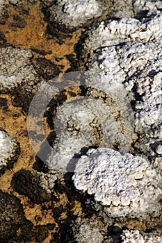 Badwater Basin