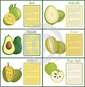 Bael and Ambarella Jackfruit Posters Set Vector