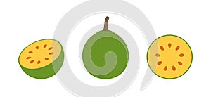 Bael fruit logo. Isolated bael  fruit on white background