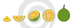 Bael fruit logo. Isolated bael fruit on white background